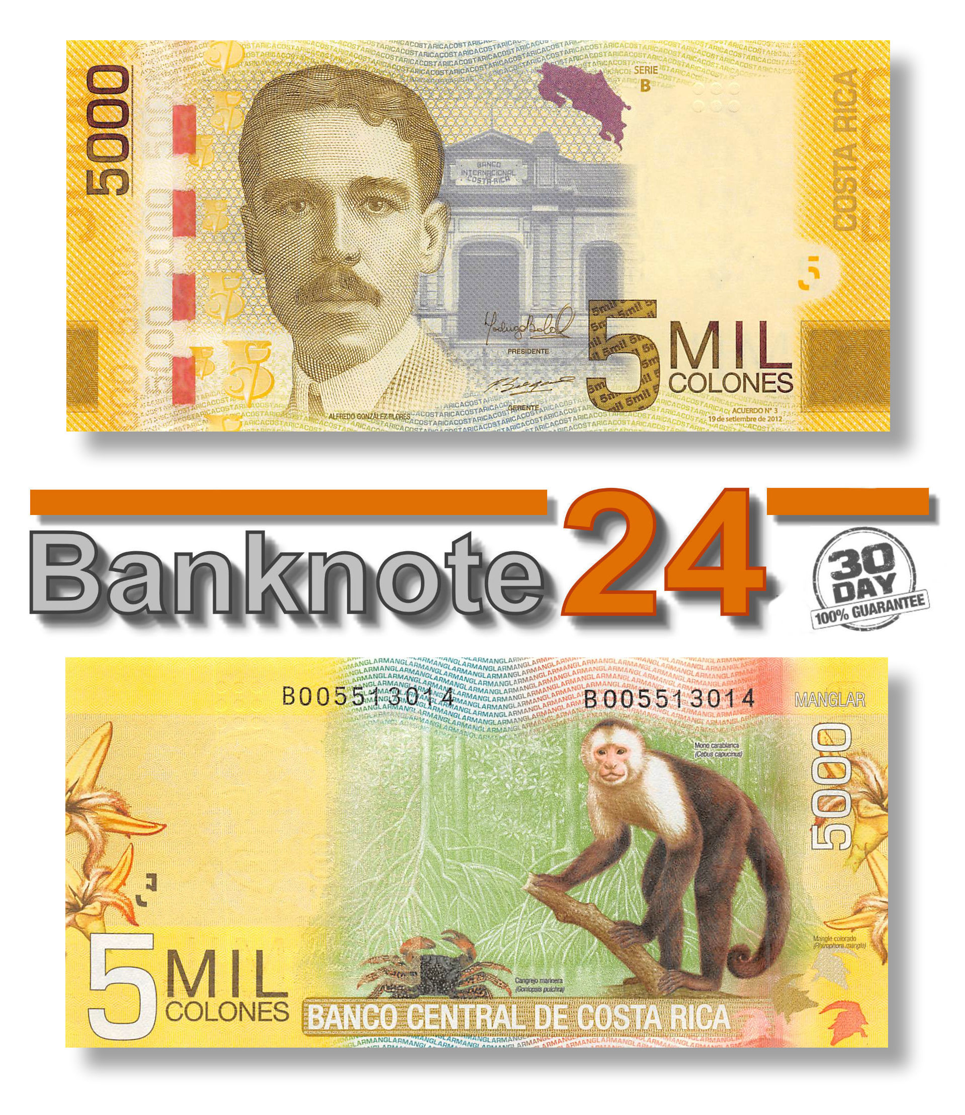 P-276b Unc Costa Rica Banknote  5000 colones 2012 