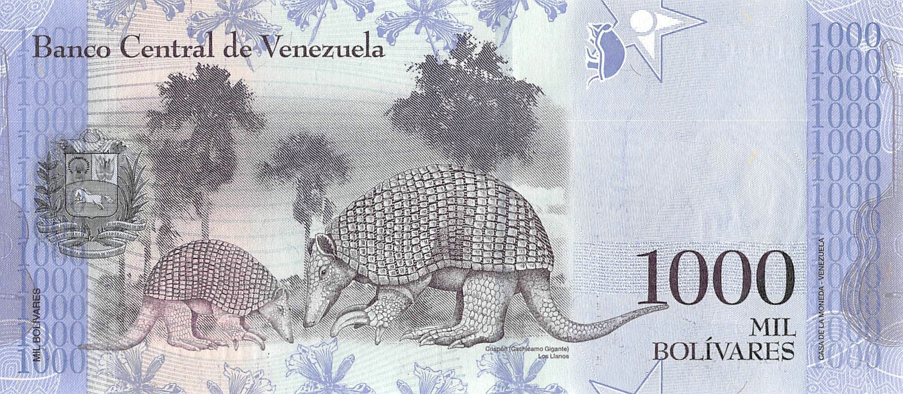 Venezuela Banknotes 1.000 Bolívares 2017 P-95b Armadillo UNC